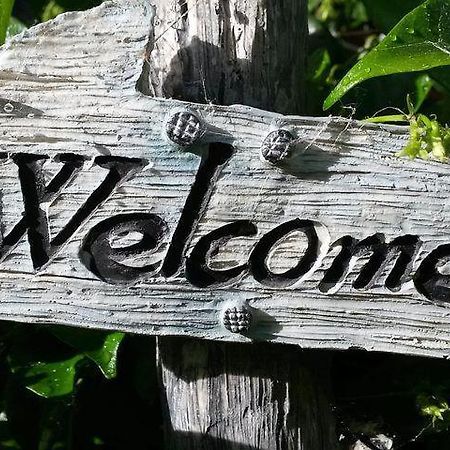 Ferienwohnung 1 Zi Wohngemeinschaft fuer anspruchslose RUCKSACKTOURISTEN Am Markt- alle Getraenke&Essen&Wifi frei - Yannik R&Cats nicht im Zi - fuer 3 Erw&konservative Paare ungeeignet - nur deutsch englisch sprachige Gäste - sie werden gern kostenlos beko Lübeck Exterior foto